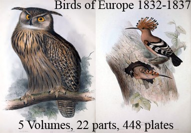 The Birds of Europe 5 Volumes 22 parts 448 plates London