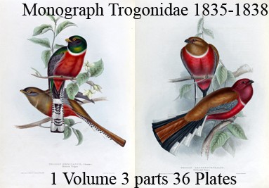 Monograph of the Trogonidae or Family of Trogons 1835-36 1 Volume 2 parts 36 plates.